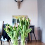 cut flowers: Tips for a longer life