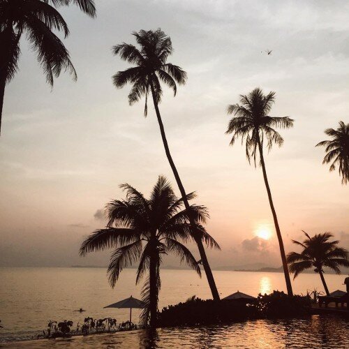 sunrise paradise kohsamui palmtrees sunrise fashionbloggerde germanblogger thailandhellip